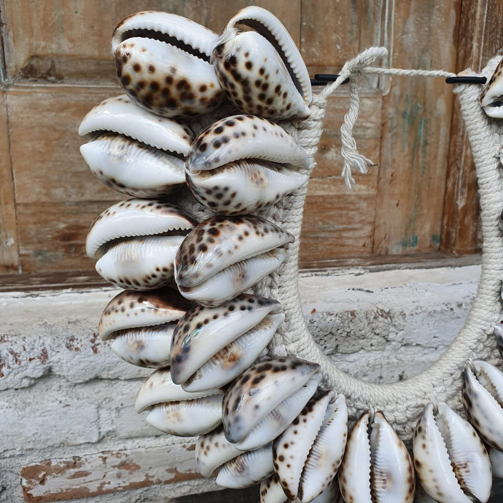 Big shell necklace sale