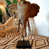 Carved Antique Wooden Elephant Statue On Stand