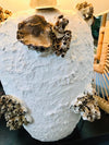 Sea Shell & Coral White Pottery Table Lamp - Canggu & Co