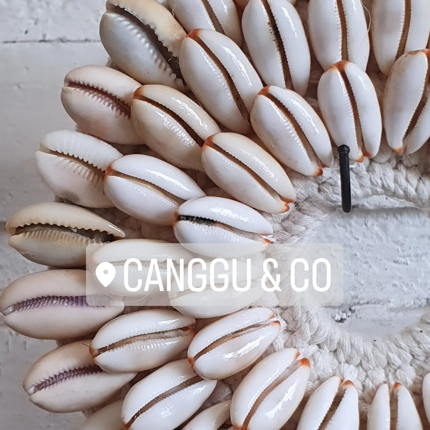 Shell Decoration – Canggu & Co