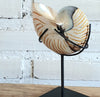 Snail Decoration With Stand