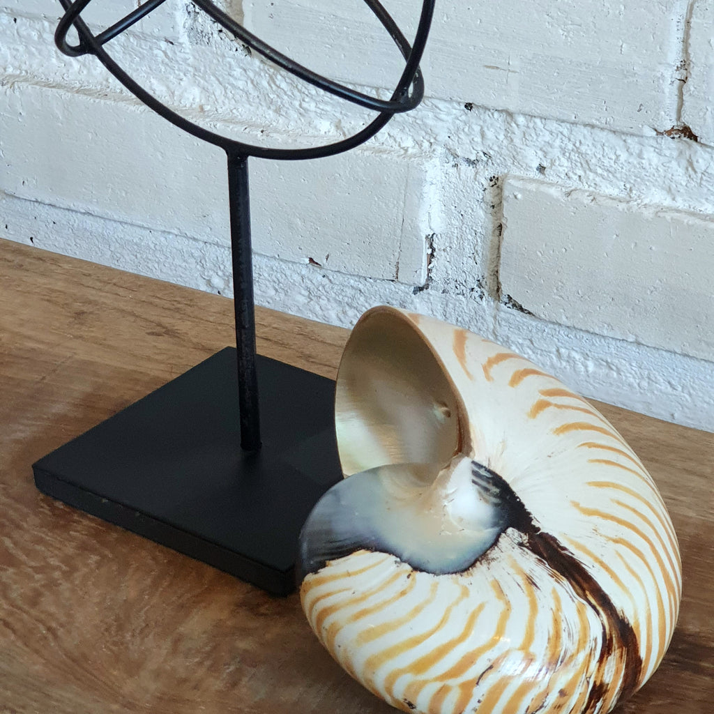 Snail Decoration With Stand – Canggu & Co