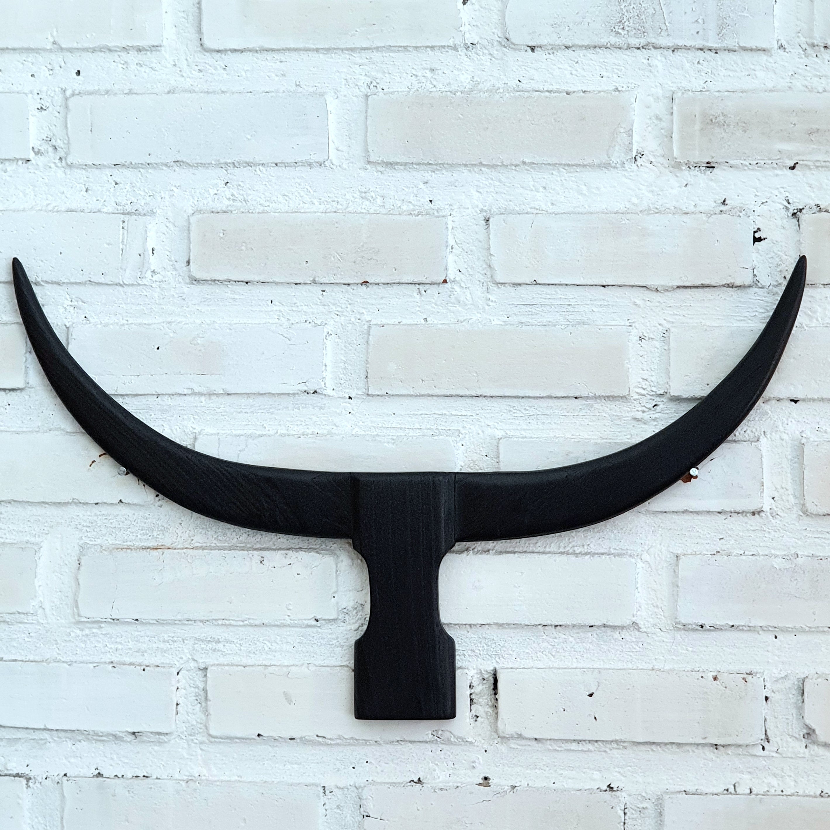 Buffalo Horns Wall Decoration – Canggu & Co