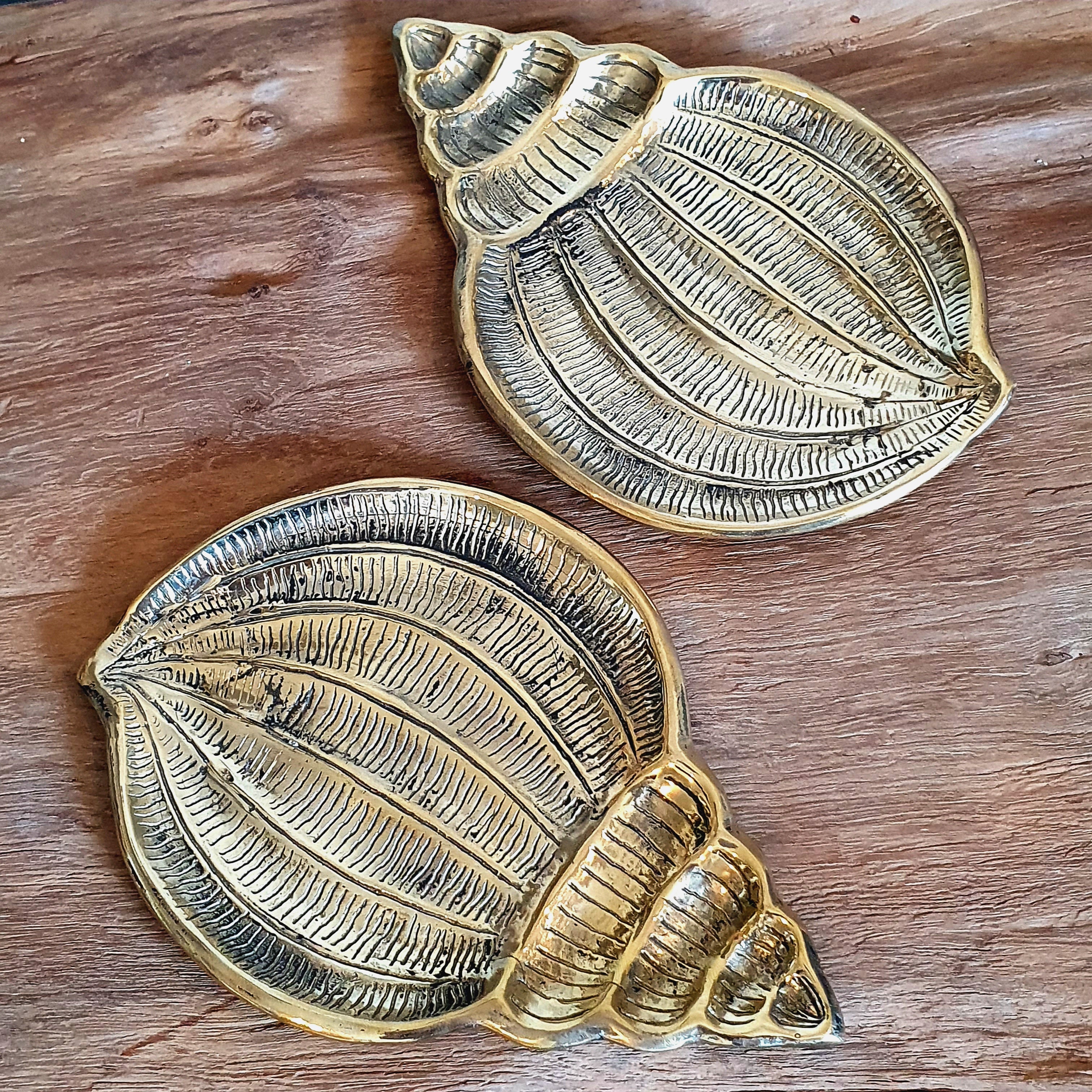 Shell Plate Style Brass Decorative Plate Featuring Shell Motif – Canggu & Co