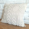 Arrow Embroided Motif Cotton Cushions