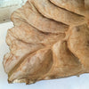 Hand-Carved Wooden Leaf Plate Decor