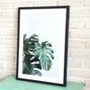 Leaf Picture in Frame (Black Medium)