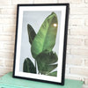 Leaf Picture in Frame (Black Medium)