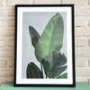 Leaf Picture in Frame (Black Medium)