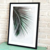 Leaf Picture in Frame (Black Medium)