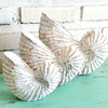 Wooden Nautilus Sea Shell Set of 3