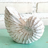 Wooden Nautilus Sea Shell Set of 3