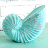 Wooden Nautilus Sea Shell Set of 3