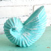 Wooden Nautilus Sea Shell Set of 3