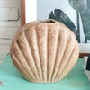 Shell Shape Vase