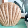 Shell Shape Vase
