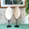 Ketam Shell Candle Light Holder (W)
