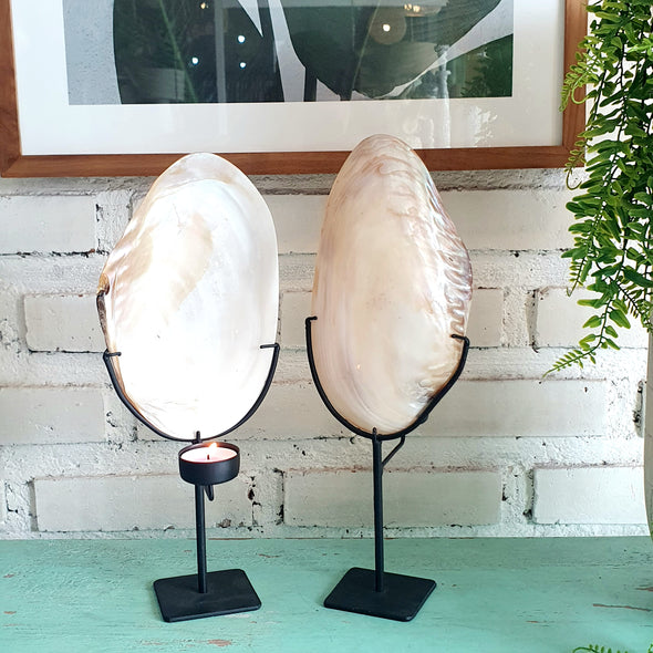 Ketam Shell Candle Light Holder (W)