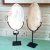 Ketam Shell Candle Light Holder (W)