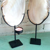 Ketam Shell Candle Light Holder (W)
