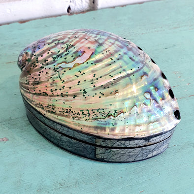 Clam Shell Jewelry Box