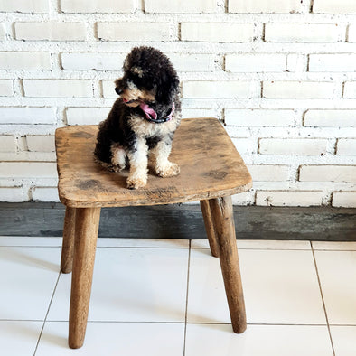 Jhosua Wooden Bench