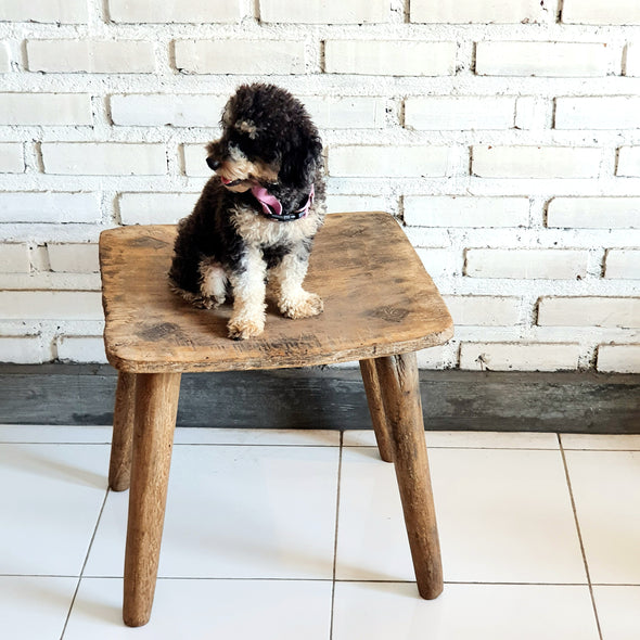 Jhosua Wooden Bench
