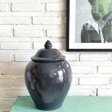 New Glossy Ceramic Pot (Blue)