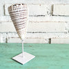 Tiger Cowrie Shell Decoration with Stand