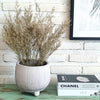New Glossy Ceramic Pot (W)