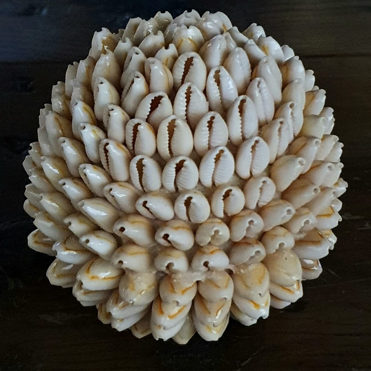 Ball Shaped Shell Flower Style Sea Shell Balls – Canggu & Co