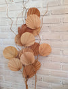 Exotic Palm Leaf & Bamboo "Curved Wave" Fronds