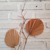 Exotic Palm Leaf & Bamboo "Curved Wave" Fronds