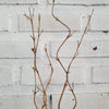 Exotic Flower Leaf & Bamboo "Curved Wave" Fronds