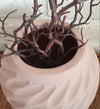 Rose Oval Cavity Pottery Vas