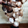 Large Sea Clam Shell Pendant Style Decor With Stand