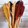 Dried Cantel Flower