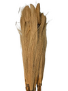 Exotic Pampas Loofah Fronds