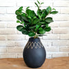 Minimalist Vase With Handwoven Rattan Cross Pattern