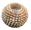 Cowrie Shell Candle Light Holder