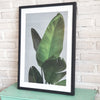 Leaf Picture in Frame