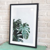 Leaf Picture in Frame