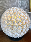 Frangipani Sea Shell Ball Table Lamp - Canggu & Co