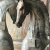 Carved Wooden Horse Head Statue - Canggu & Co