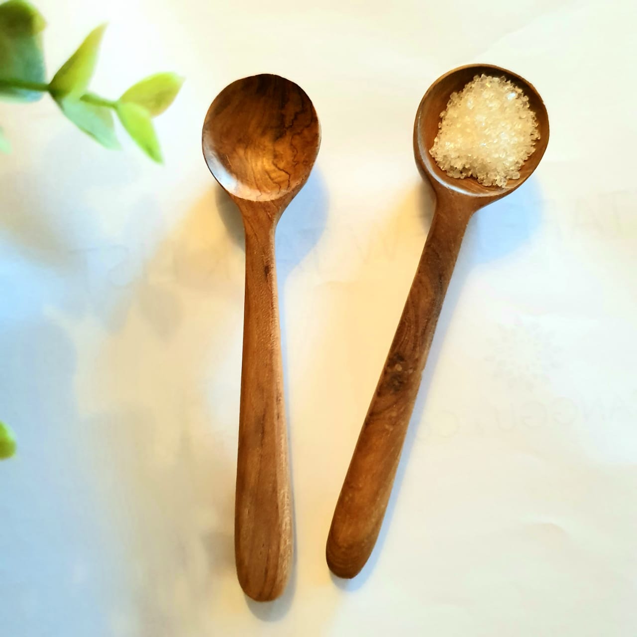 Circular Tea Spoon Wooden Round Head Tea Spoons – Canggu & Co