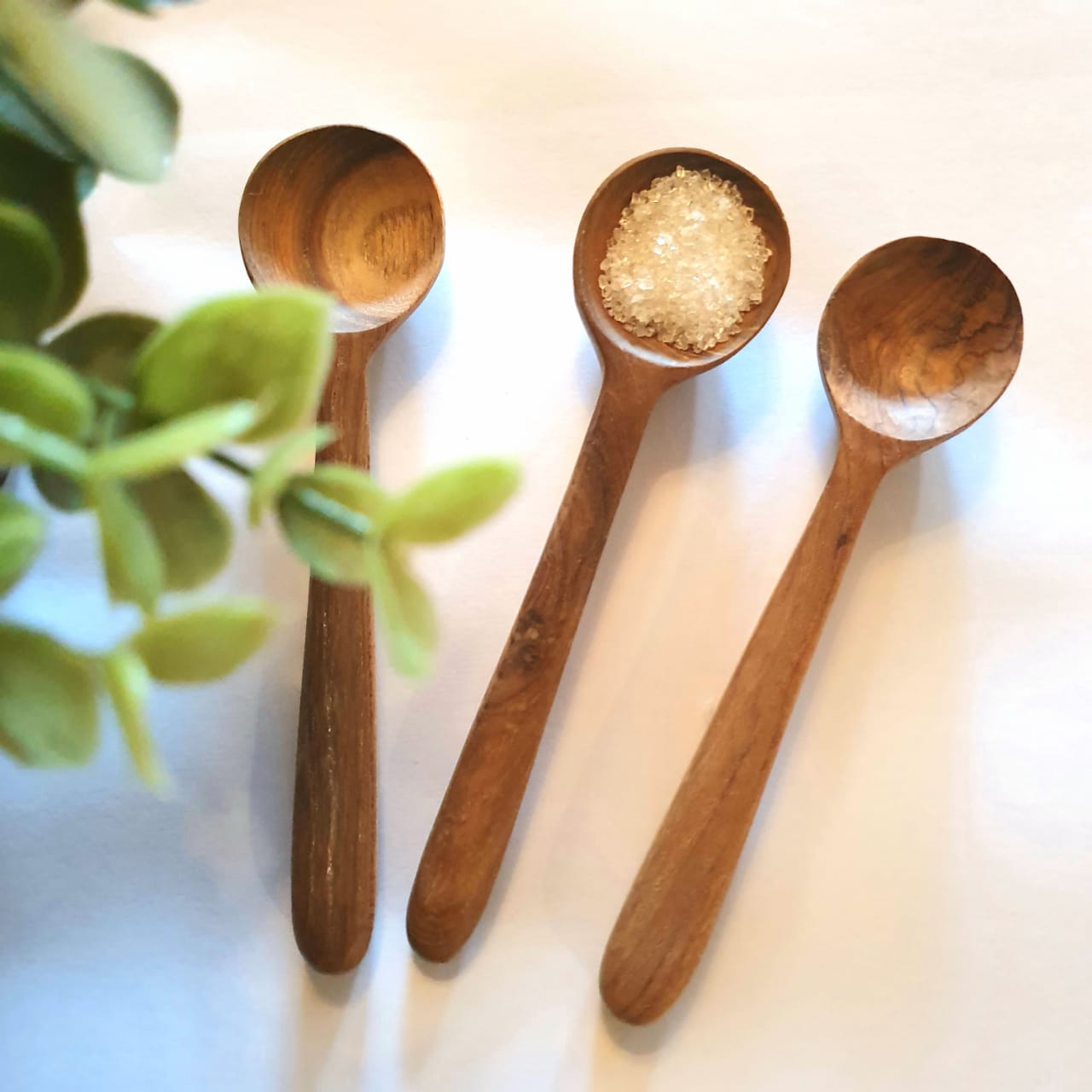 Circular Tea Spoon Wooden Round Head Tea Spoons – Canggu & Co
