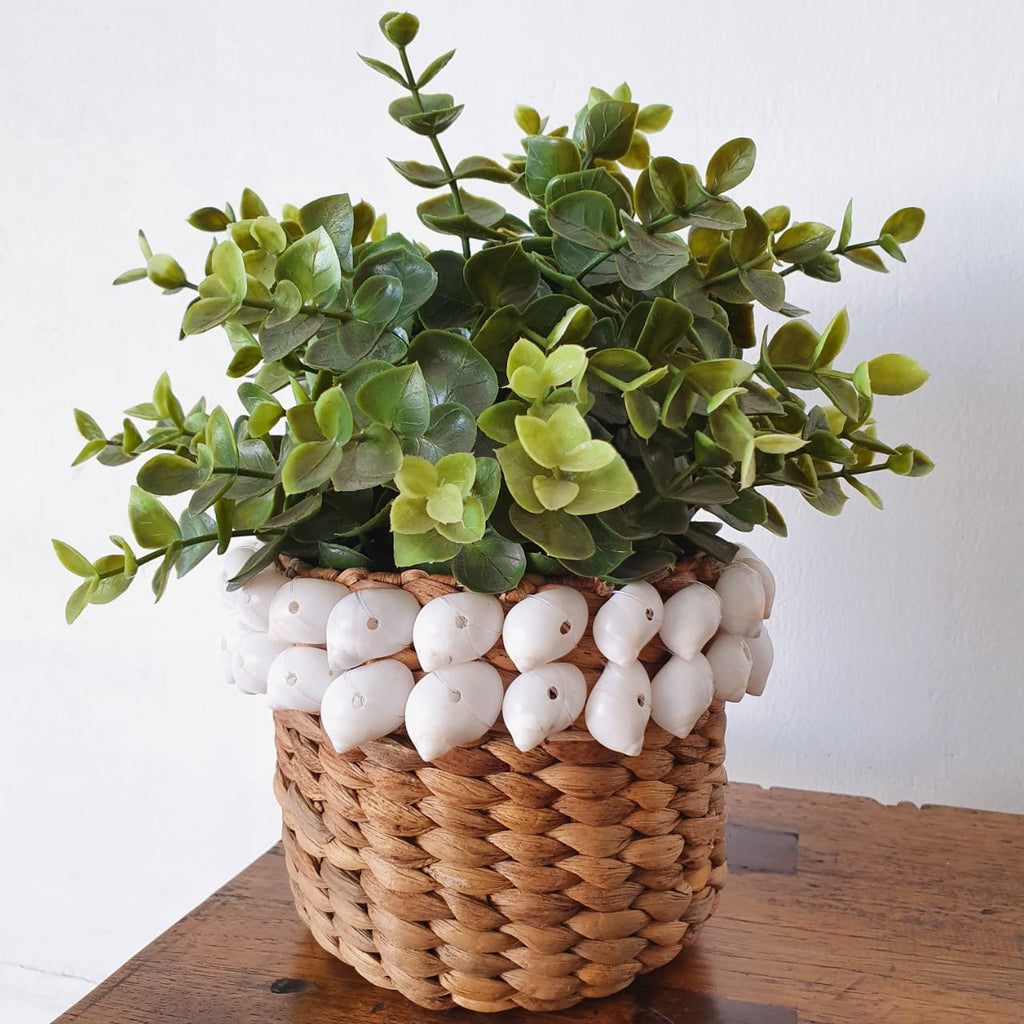 Small Banana Leaf Pot With Shells – Canggu & Co