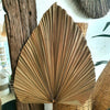 Flat Style Palm Leave Fronds
