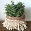 Macrame Knitted Pot Holder With Beads & Shells - Canggu & Co