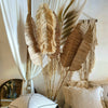 Exotic Tall Straw Grass Pampas Style Frond